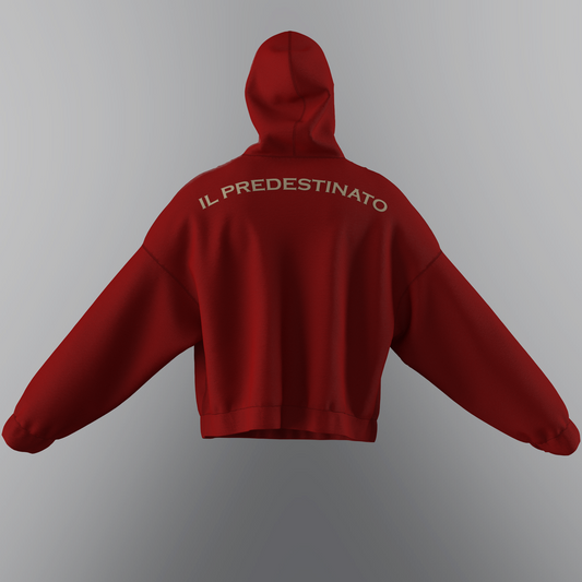 Felpa Charles Leclerc Uomo