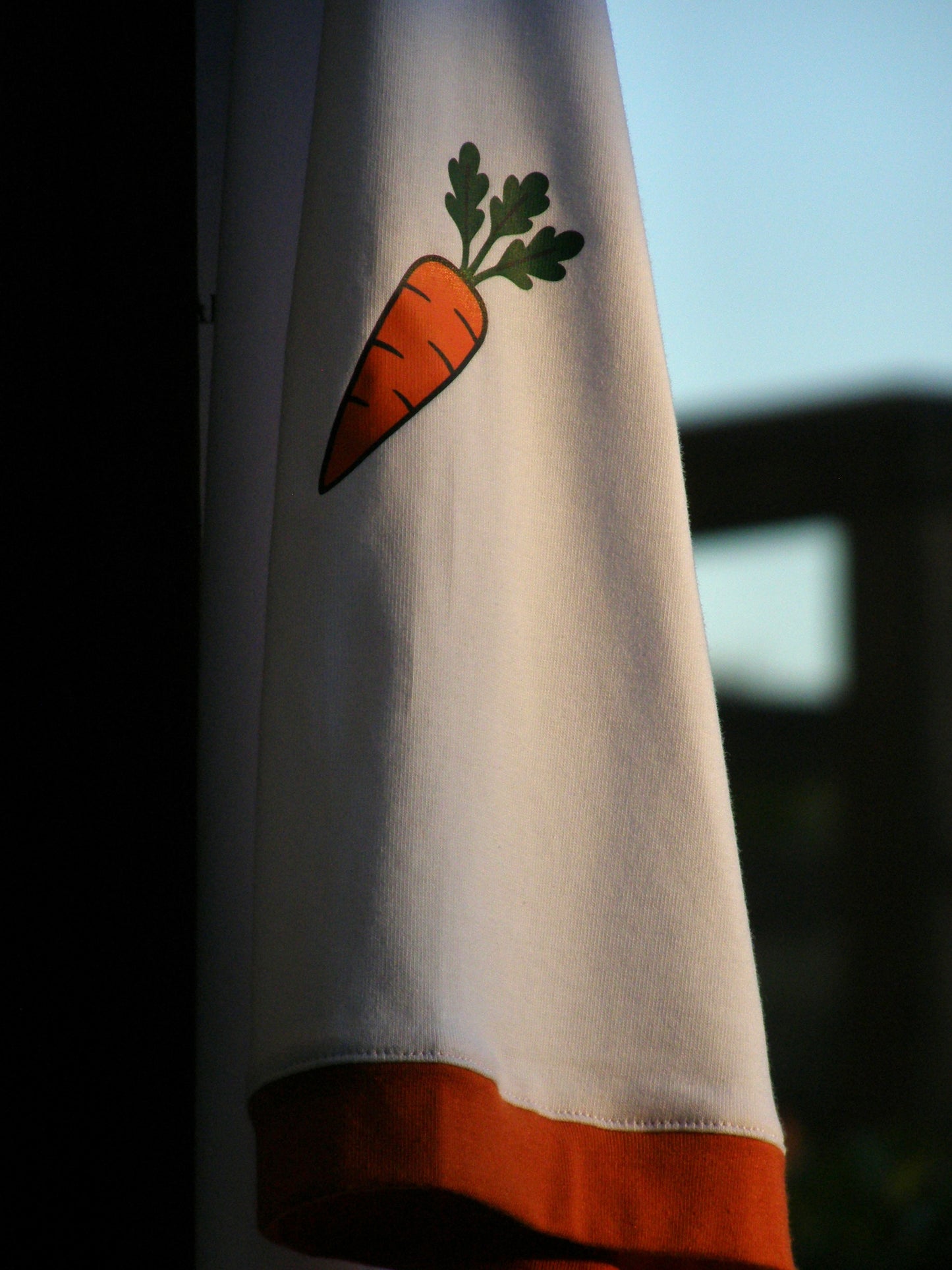 Maglietta Jannik Sinner Tifosi Tennis – “The Sinner Takes It All” – Unisex